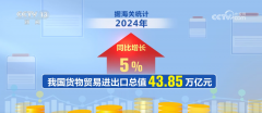 2024年我国外贸进出口成就亮眼 新动能加